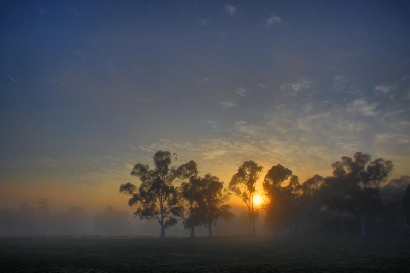 sunrise cook playing fields3.jpg